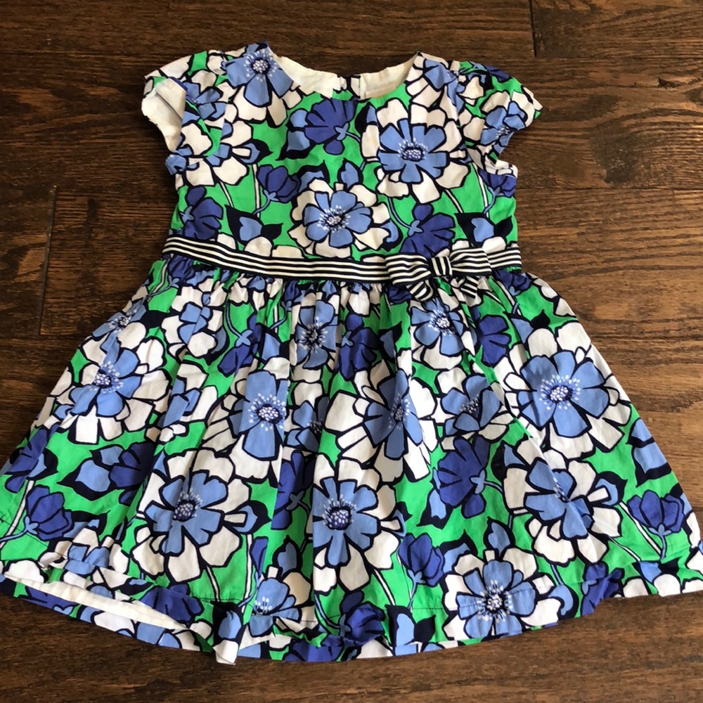Gymboree Blue & Green Floral Dress